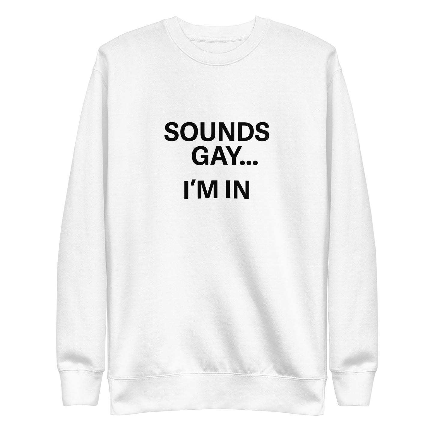 Sounds Gay Sweatshirt